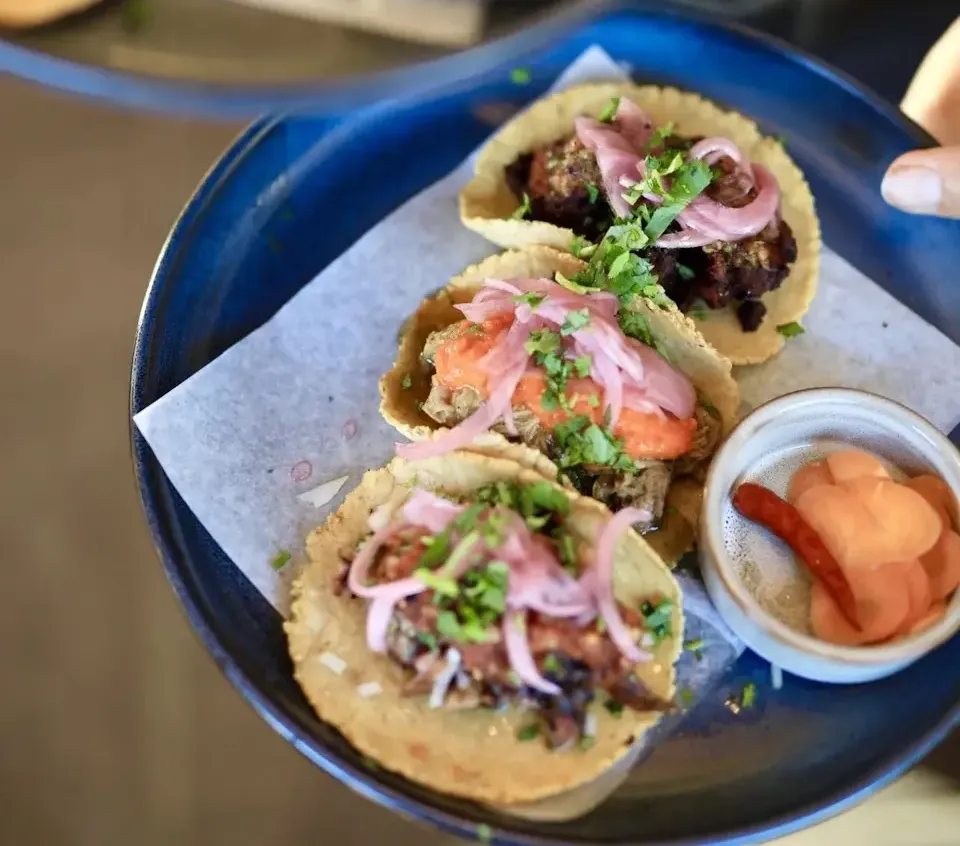 Three tacos on handmade tortillas