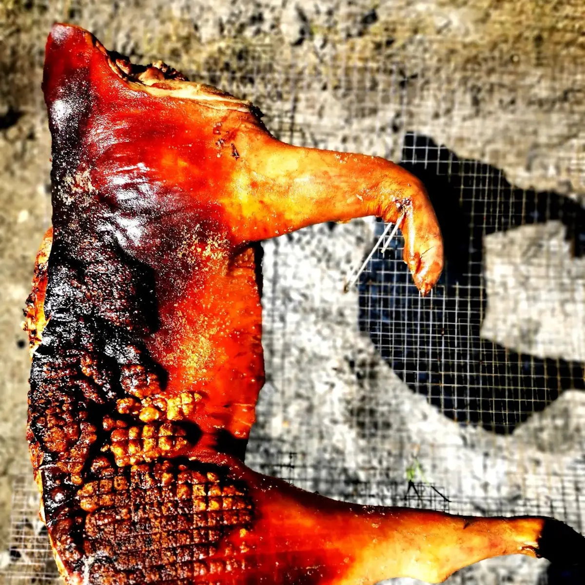 Cooking over open fire