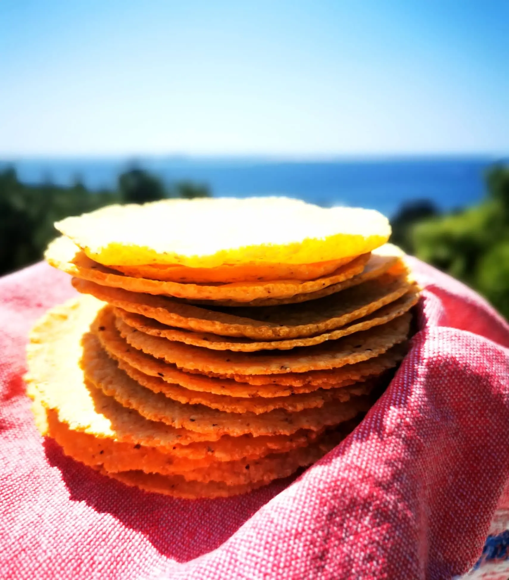 Waiheke Island fresh corn tortillas